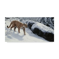Zaštitni znak likovna umjetnost 'Soft Snow cougar' platno umjetnost Ron Parker