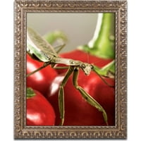 Zaštitni znak likovna umjetnost Molitva mantis & Pepper 2 platno umjetnost Jason Shaffer, zlatni ukrašeni okvir