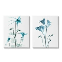 Stupell Industries prekrasni minimalistički plavi cvjetni biljni stabljika fotografija galerija omotana platnu