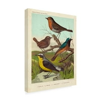 Zaštitni znak likovna umjetnost 'Robin, Wren i Redstart' platno Art by Cassell