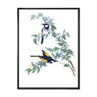 Drevne australske ptice na grani uokvirenom slikarskom platnu umjetnički tisak