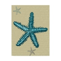 Zaštitni znak likovna umjetnost 'plave zvijezde na taupe b' platno umjetnost by fab Funky