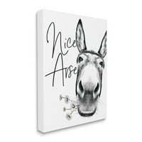 Stupell Industries magareći portret Nice Ass Animal Pun Daisey Florals, 20, dizajniran po slovima i obložen